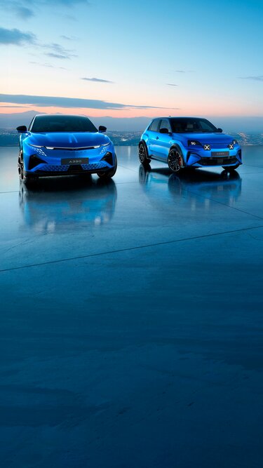 ALPINE BUSINESS