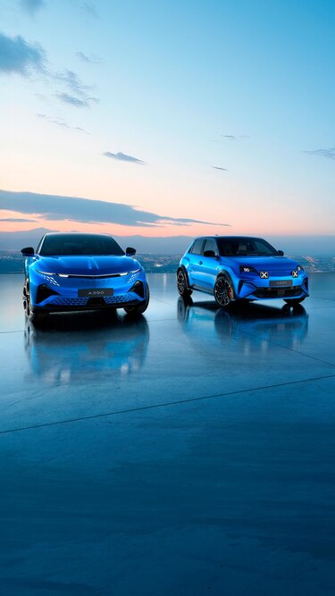 ALPINE BUSINESS