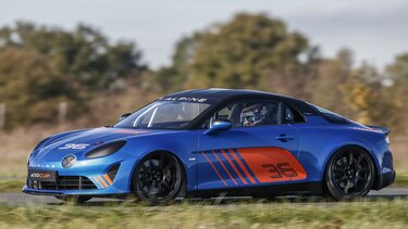 Alpine A110 - Profil - Cup