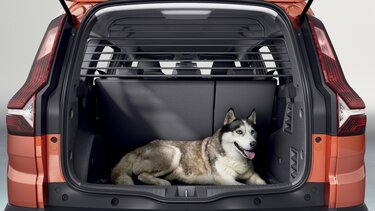Hund im Kofferraum