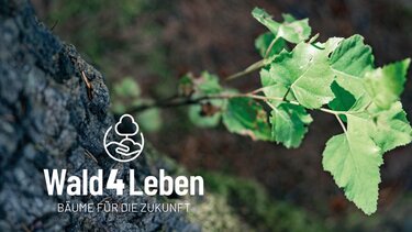 Kooperation Wald4Leben