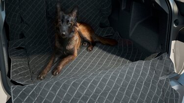 Multifunctionele bescherming voor kofferbak en stoel | Dacia Duster
