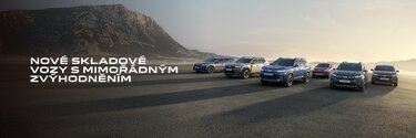 Dacia skladové vozy