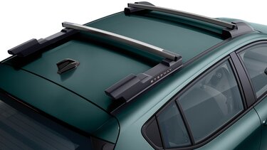 Der neue Sandero Stepway - Fahrradträger
