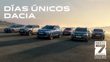 Días únicos