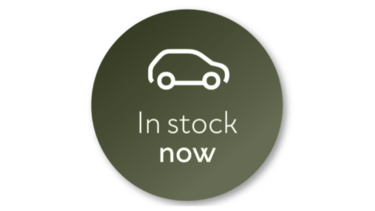 In Stock Dacia
