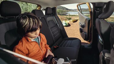 Sandero Stepway prices and versions