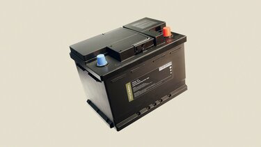 Offerte manutenzione