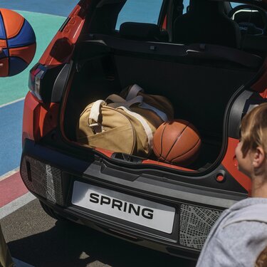 Offre Spring du moment pour les professionnels - Dacia