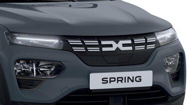 Krasbestendige afwerking Dacia Spring Extreme