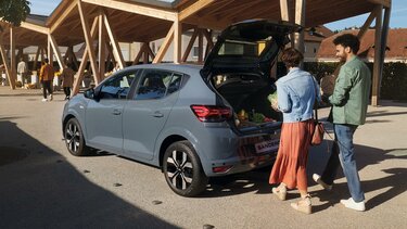 Sandero - Cerchi in lega diamantati Randia 
