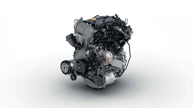 Alt Image C29