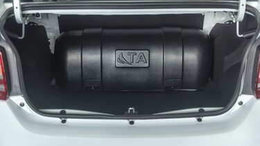 Alt Image C29