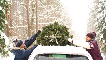 Ein Christbaum wird auf einem Auto befestigt