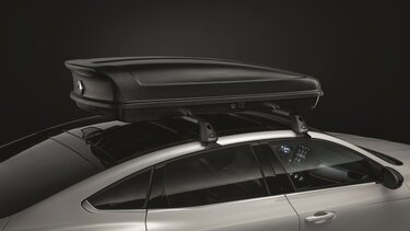 Dachbox – Zubehör für Renault