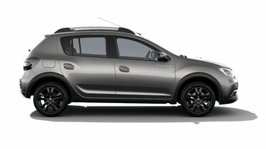 Manuales - Renault Nuevo STEPWAY