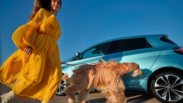  cómo viajar con mascotas en el coche  de forma segura