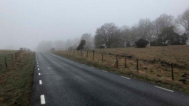 niebla en la carretera