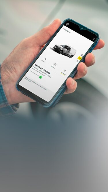 Renault Webstore