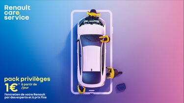 Renault care service
