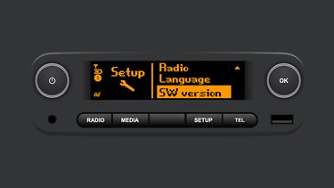 Versiunea software a sistemului Radio Connect
