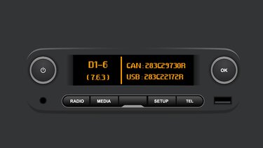 Versiunea software a sistemului Radio Connect