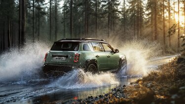 Renault 4 Savane 