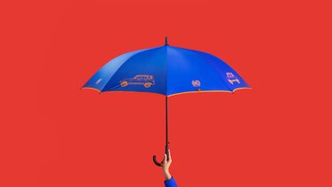60 jaar 4L - paraplu