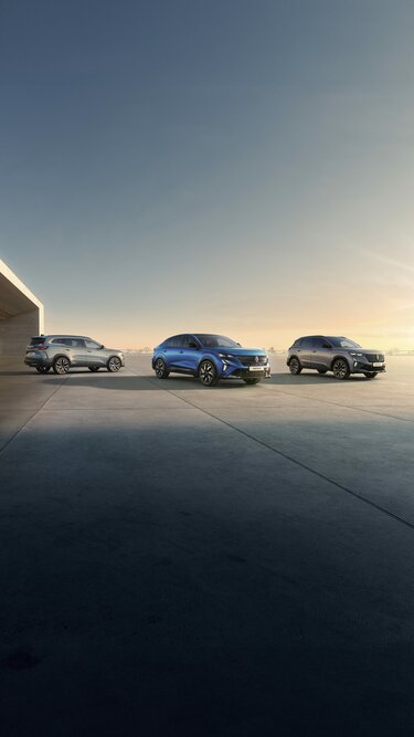 renault voorraadvoordeel