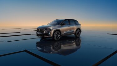 gamme voitures hybrides 