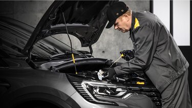 Renault Business customers - maintenance