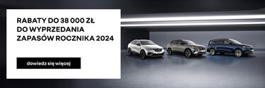 wyprzedaż rocznika 2024 - Renault