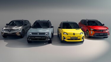 Program dopłat rządowych NaszEauto