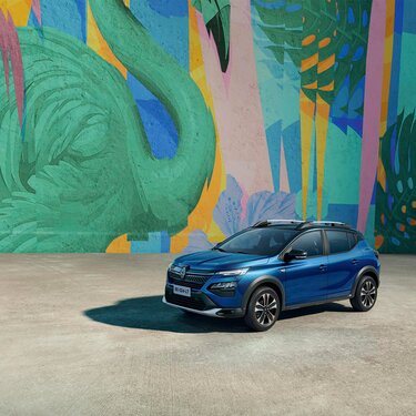 Renault Бонус